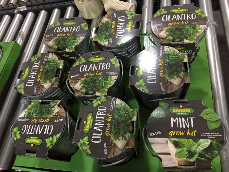 Photo 1 of bonnie plants mint/cilantro growing kit 
