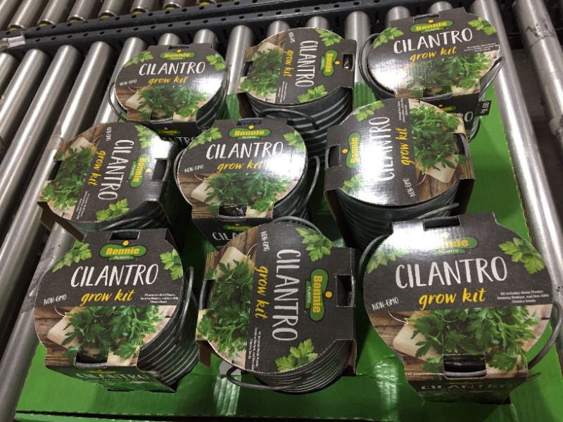 Photo 1 of bonnie plants cilantro growing kit 