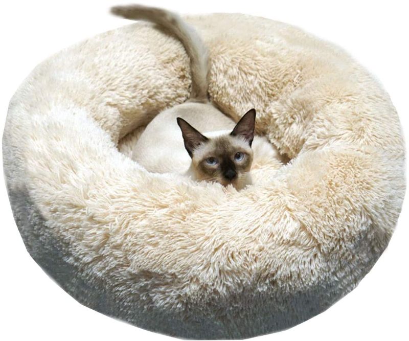 Photo 1 of BODISEINT Modern Soft Plush Round Pet Bed for Cats or Small Dogs, Mini Medium Sized Dog Cat Bed Self Warming Autumn Winter Indoor Snooze Sleeping Cozy Kitty Teddy Kennel (24'' D x 8'' H, Champagne)
