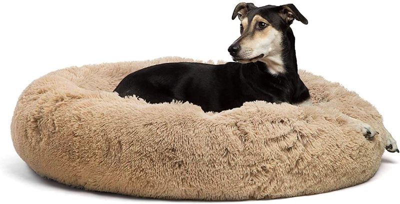 Photo 1 of Best Friends by Sheri The Original Calming Donut Cat and Dog Bed in Shag or Lux Fur, Machine Washable, High Bolster, Multiple Sizes S-XL
