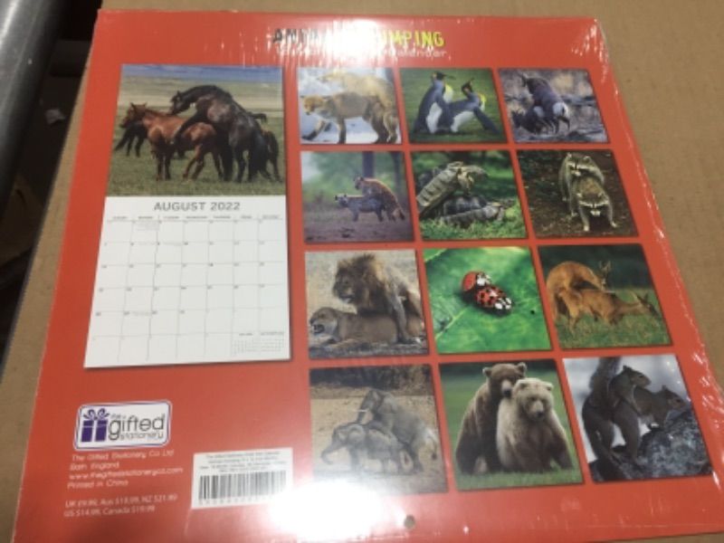 Photo 2 of 2 pack- Animals Humping Calendar 2022-- Lick Vanilla Flavored Massage Oil - Water-Based & Body Safe Great for Pure Personal Care and Partner Care 4 Oz
