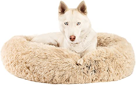 Photo 1 of  Original Calming Donut Cat and Dog Bed in Shag or Lux Fur (m)