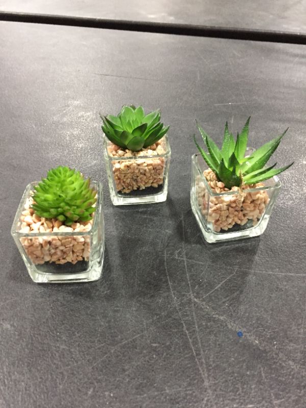 Photo 2 of Artificial Succulent Plants, Faux Succulents in Glass Pots Set of 3 Small Fake Plants for Home Decor Indoor, Briful