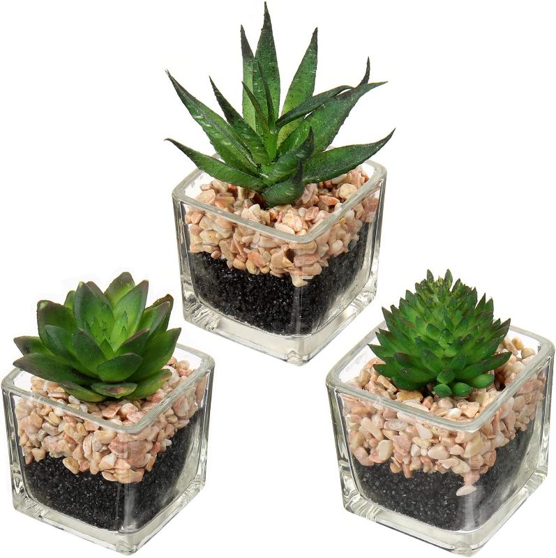 Photo 1 of Artificial Succulent Plants, Faux Succulents in Glass Pots Set of 3 Small Fake Plants for Home Decor Indoor, Briful