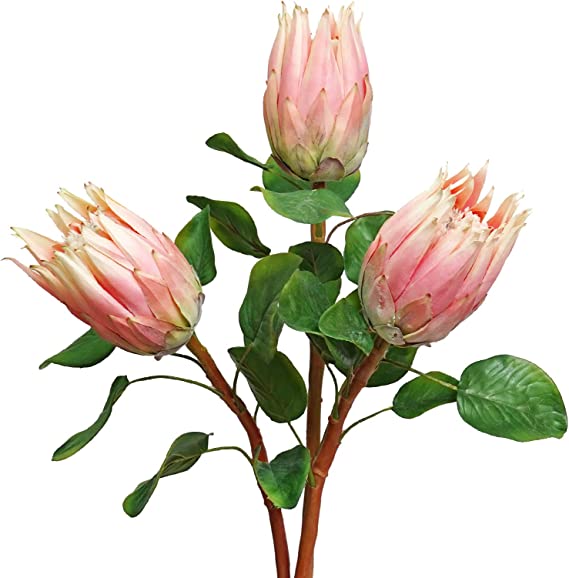 Photo 1 of Artificial King Protea Silk Artificial Flowers Real Touch Protea Cynaroides Flowers 26.77 Inch Tall Flower Arrangements Decor for Home Kitchen Garden Wedding Party Decoration (Pink)
