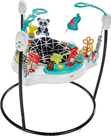 Photo 1 of Fisher-Price Animal Wonders Jumperoo, White
