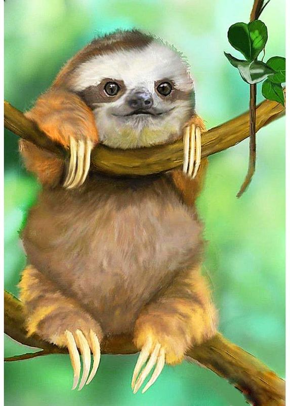 Photo 1 of DIY 5D Diamond Painting by Number Kits,Diamond Embroidery Paintings Arts Craft for Home Wall Decor,Full Drill Sloth 11.8X15.7in 1 Pack by Bemall
