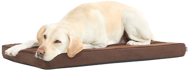 Photo 1 of Barkbox Memory Foam Platform Dog Bed, Plush Mattress for Orthopedic Joint Relief, Machine Washable Cuddler with Removable Cover and Water-Resistant Lining, Includes Squeaker Toy
