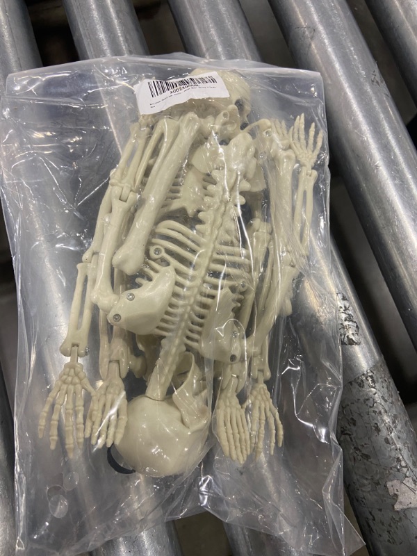 Photo 1 of 2pc Skeleton Decor
