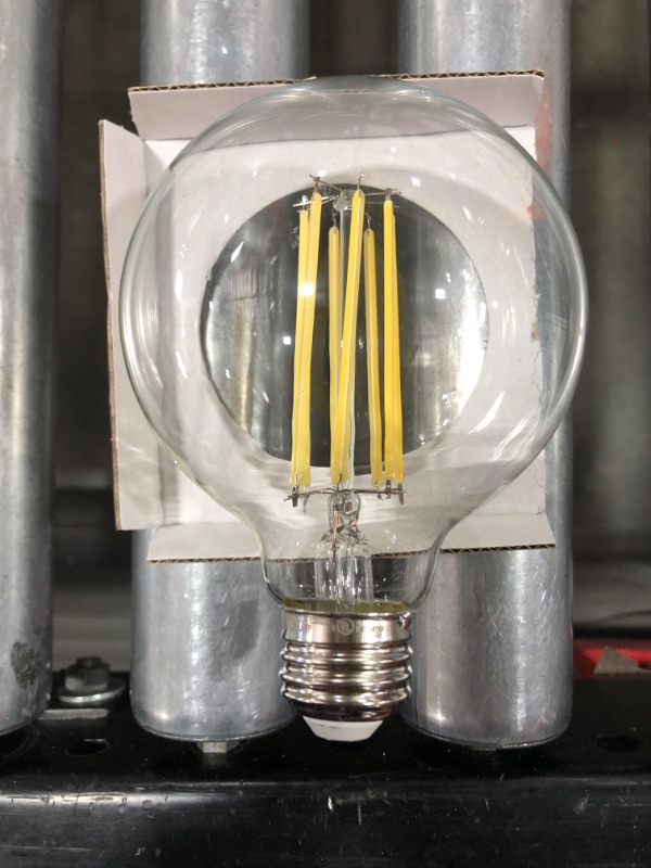 Photo 2 of Feit Electric 60-Watt Equivalent G30 Dimmable Cage Filament Clear Glass E26 Vintage Edison LED Light Bulb, Soft White