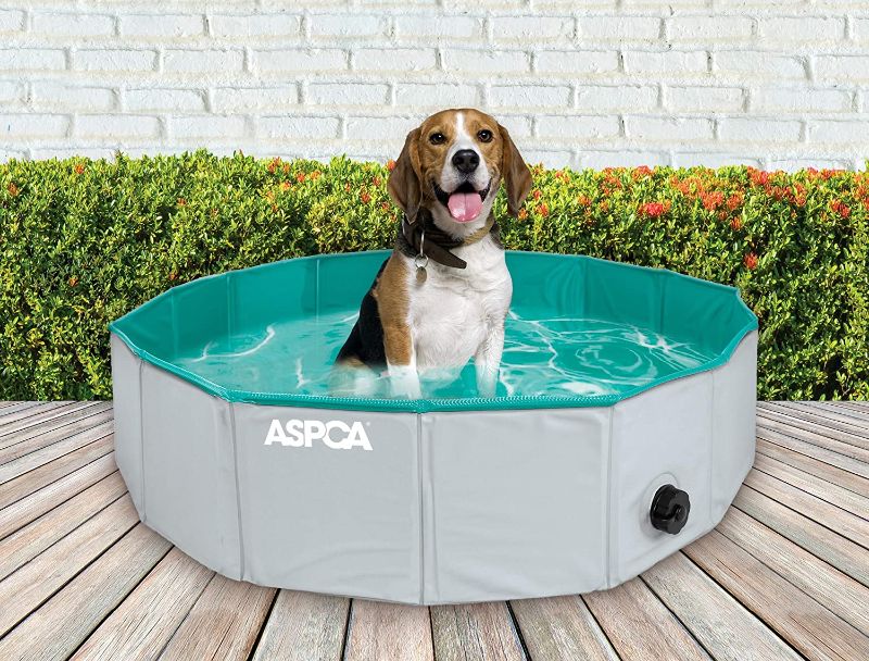 Photo 1 of ASPCA Foldable Outdoor Pet Bath Dog Pool for Dogs and Cats
