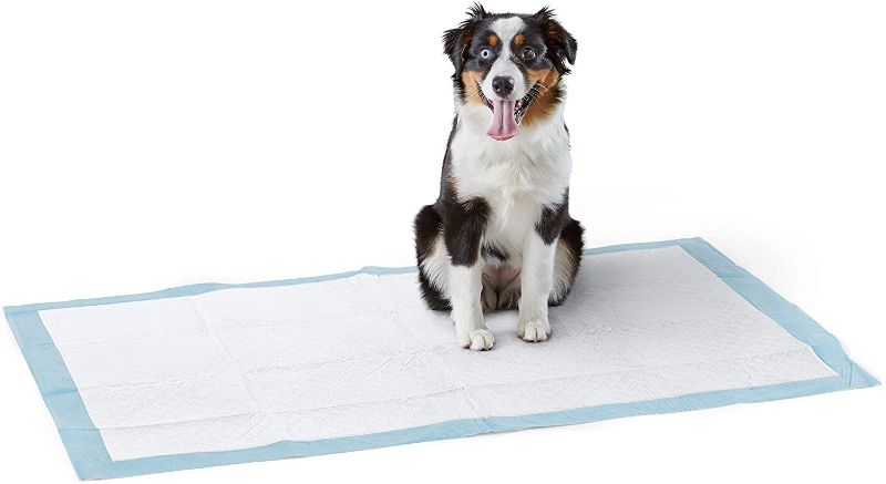 Photo 1 of Amazon Basics Dog and Puppy Pads, Leak-proof 5-Layer Pee Pads with Quick-dry Surface for Potty Training