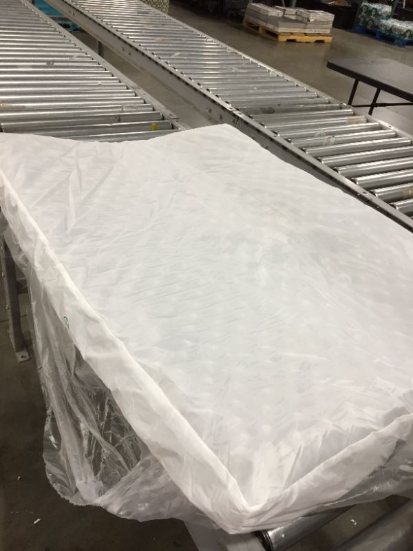 Photo 1 of 36X27 Dog Cushion Bed 