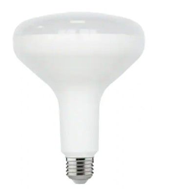Photo 1 of -Watt Equivalent BR40 Dimmable ENERGY STAR LED Light Bulb Soft White 2700K (2-Pack)