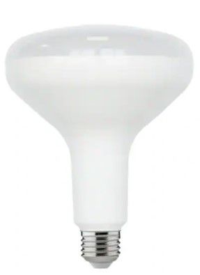 Photo 1 of 75-Watt Equivalent BR40 Dimmable ENERGY STAR LED Light Bulb Bright White 3000K (2-Pack)
