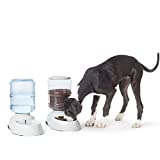 Photo 1 of Amazon Basics Gravity Pet Food Feeder and Water Dispenser Bundle, Large (2.5-Gallon Capacity)
