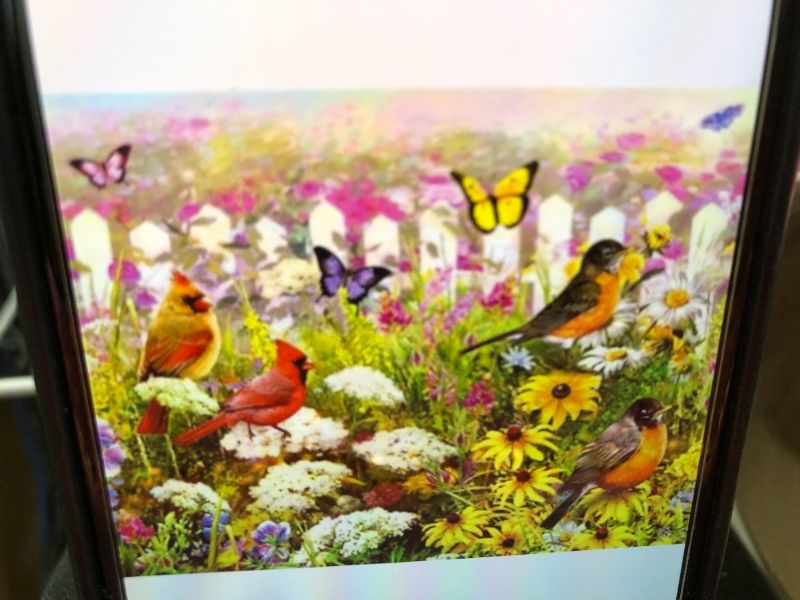 Photo 1 of XDXART PAINT BY NUMBERS KIT 16X20 BUTTERFLIES AND BIRDS