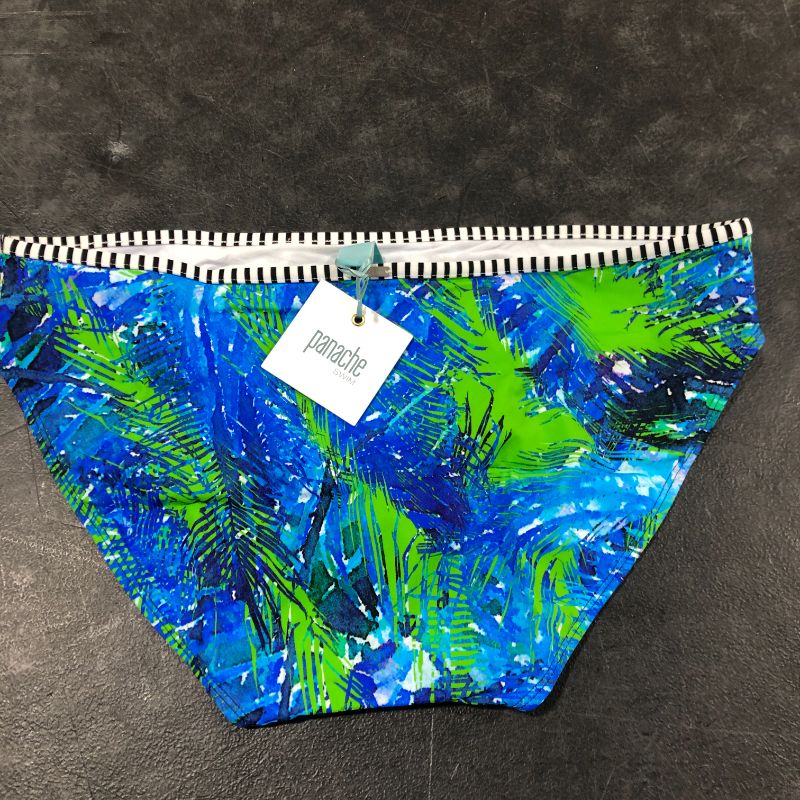 Photo 2 of Panache Elle Classic Swim Bottom (Palm Print 2X)