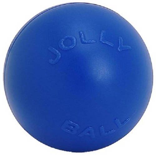 Photo 1 of Jolly Pets 14" Push-n-Play Dog Toy, Blue
