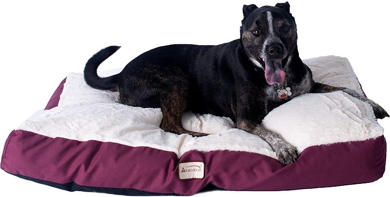 Photo 1 of Armarkat Pet Bed Mat 39-Inch by 28-Inch by 7-Inch, M02HJH/MB-Large, Ivory
