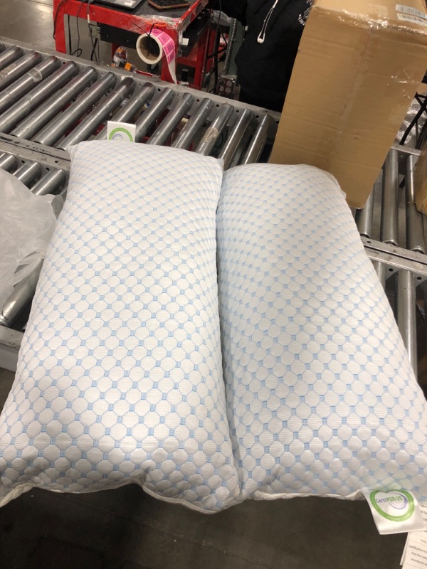 Photo 1 of certipur-us pillow (2 pack) 34x16 