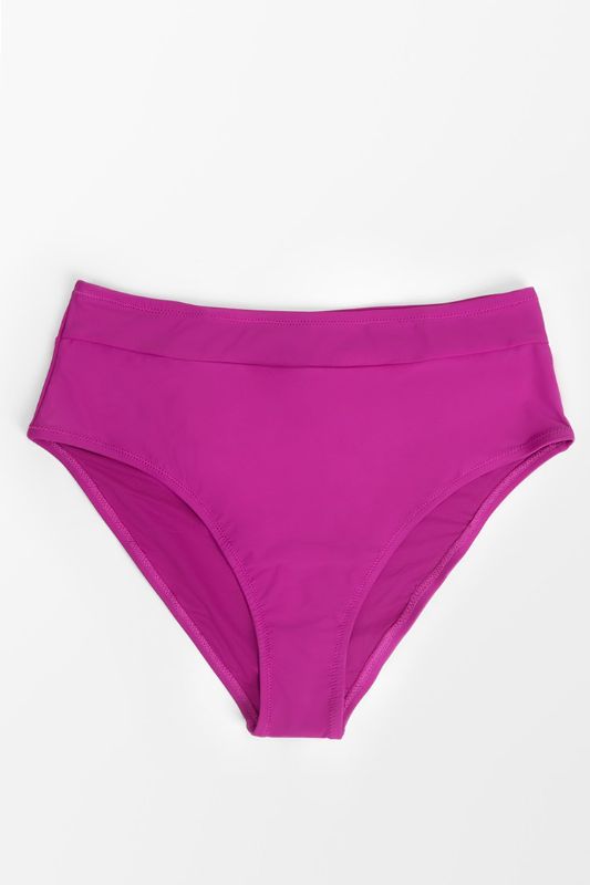 Photo 1 of Amira Fuchsia High Waisted Plus Size Bikini Bottom (1X)
 