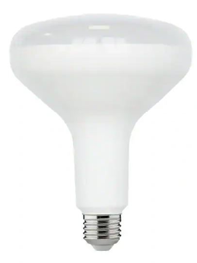 Photo 1 of 75-Watt Equivalent BR40 Dimmable ENERGY STAR LED Light Bulb Daylight 5000K (2-Pack)
