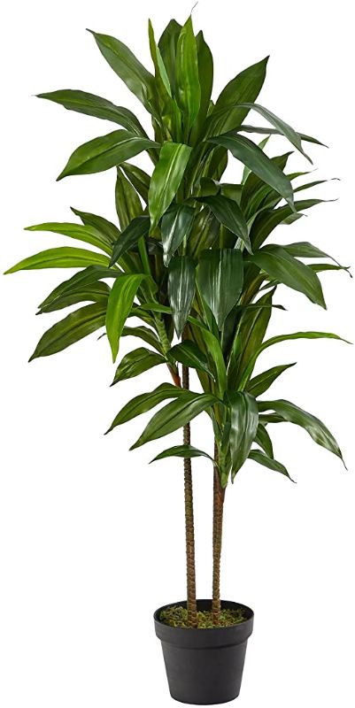 Photo 1 of 4' Dracaena Silk (Real Touch) Artificial Plant, Green
