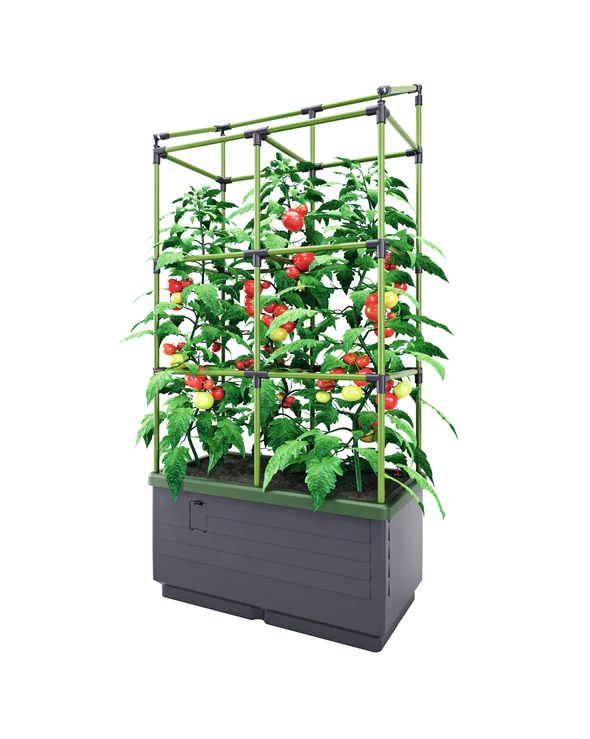 Photo 1 of Bio Green City Jungle Hydroponic Gardening System –Self Watering Planter