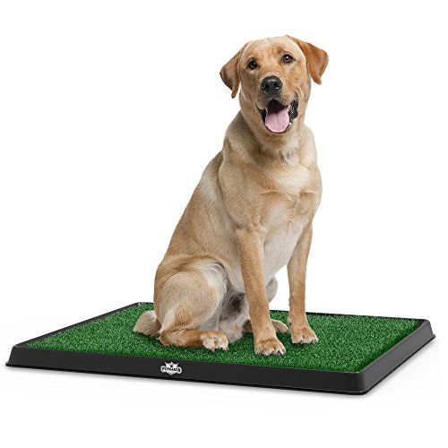 Photo 1 of Artificial Grass Bathroom Mat for Puppies and Small Pets- Portable Potty Trainer for Indoor and Outdoor Use by PETMAKER- Puppy Essentials, 20" x 25"
