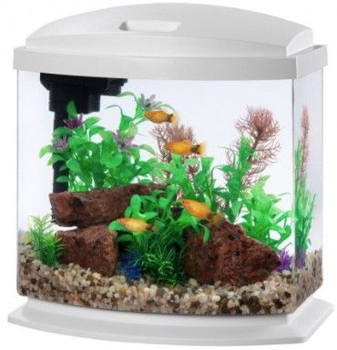 Photo 1 of Aqueon LED MiniBow 2.5 SmartClean Aquarium Kit White