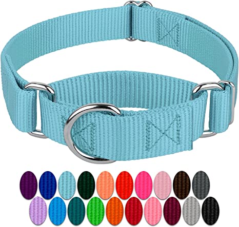 Photo 1 of Country Brook Petz - Ocean Blue Martingale Heavy Duty Nylon Dog Collar - 21 Vibrant Color Options (1 Inch Width, M/L)
