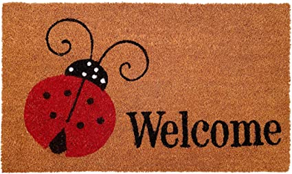 Photo 1 of Calloway Mills 121432436 Ladybug Welcome Doormat 24" x 36", Multicolor
