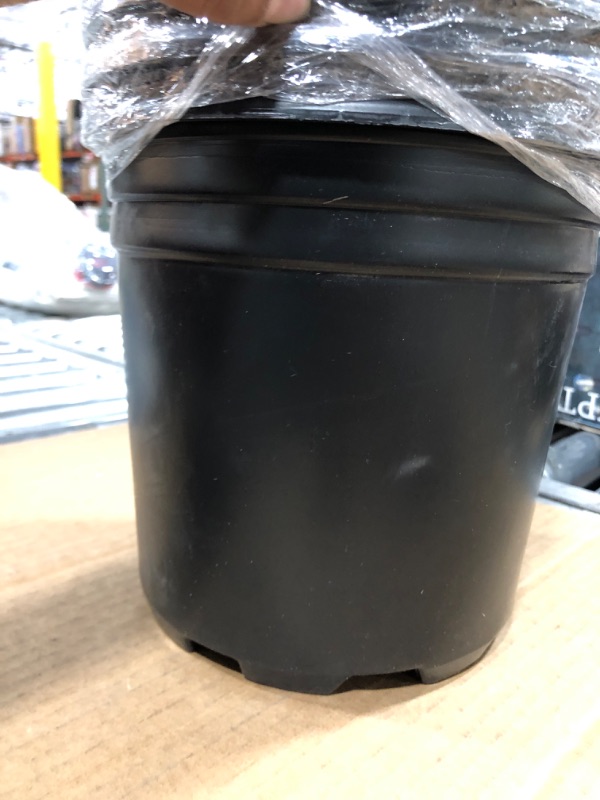 Photo 3 of 30 PACK OF 8 INCH BLACK POTS FOR PLANTS 