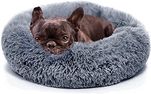 Photo 1 of  Dailylook Pet Bed Small