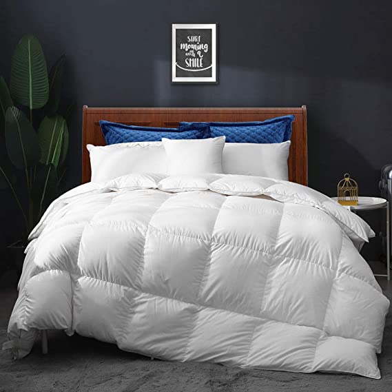 Photo 1 of APSMILE All Seasons Feather Down Comforter Full/Queen Size - Ultra-Soft Goose Feather Down Duvet Cloud Fluffy Medium Warm Quilt Comforter Insert(90x90, White)
