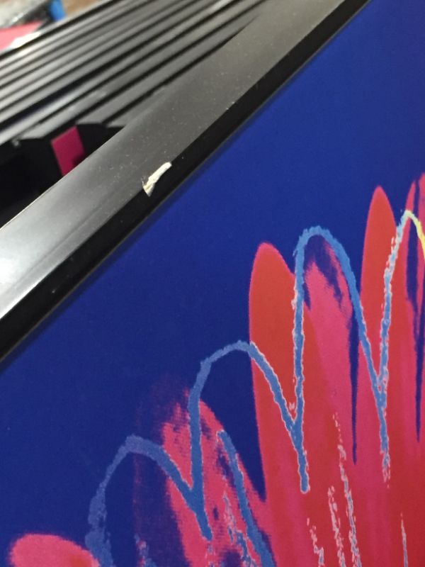 Photo 1 of McGraw Graphics Daisy Yellow  Pink Print Style Artwork Approx 34 x 34 Inches Framed in Black