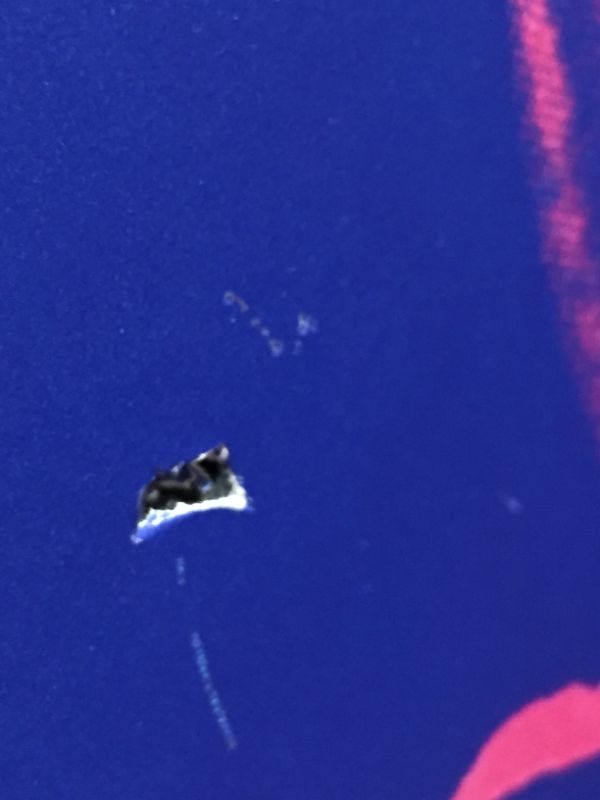 Photo 1 of McGraw Graphics Daisy Yellow  Pink Print Style Artwork Approx 34 x 34 Inches Framed in Black