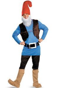 Photo 1 of Disguise Papa Gnome Adult Costume

