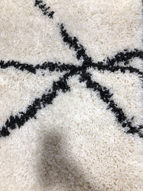 Photo 1 of Black and White Area Rug (7' x 10')