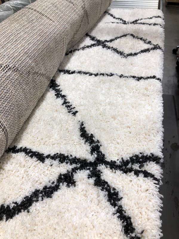 Photo 2 of Black and White Area Rug (7' x 10')