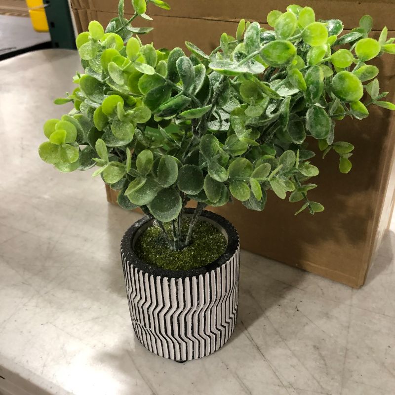 Photo 3 of 3 Pack Fake Plants in Striped Pattern Ceramic Pot for Home Decor,Mini Potted Artificial Eucalyptus Boxwood Plants Greenery for Home Office,Wall Shelf,Table,Bathroom,Modern Farmhouse Home Decoration
