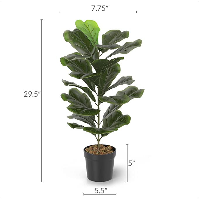 Photo 2 of Barnyard Designs 2.5ft (30”) Artificial Fiddle Leaf Fig Plant, Faux Indoor Fake Plant Decoration for Home Decor
