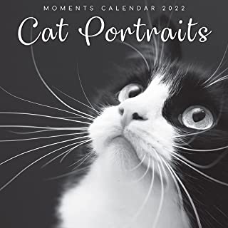 Photo 1 of 2022 Square Wall Calendar - Cat Portraits, 12 x 12 Inch Monthly View, 16-Month, Black & White Theme, Includes 180 Reminder Stickers