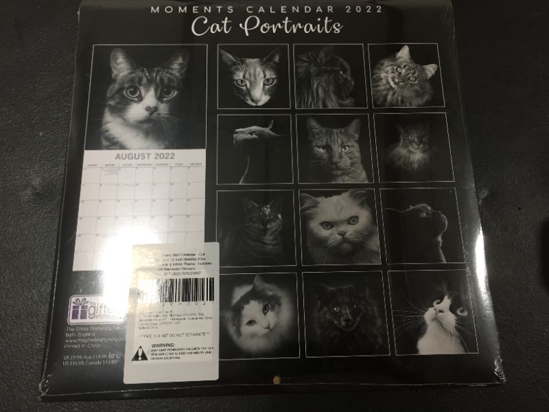 Photo 3 of 2022 Square Wall Calendar - Cat Portraits, 12 x 12 Inch Monthly View, 16-Month, Black & White Theme, Includes 180 Reminder Stickers