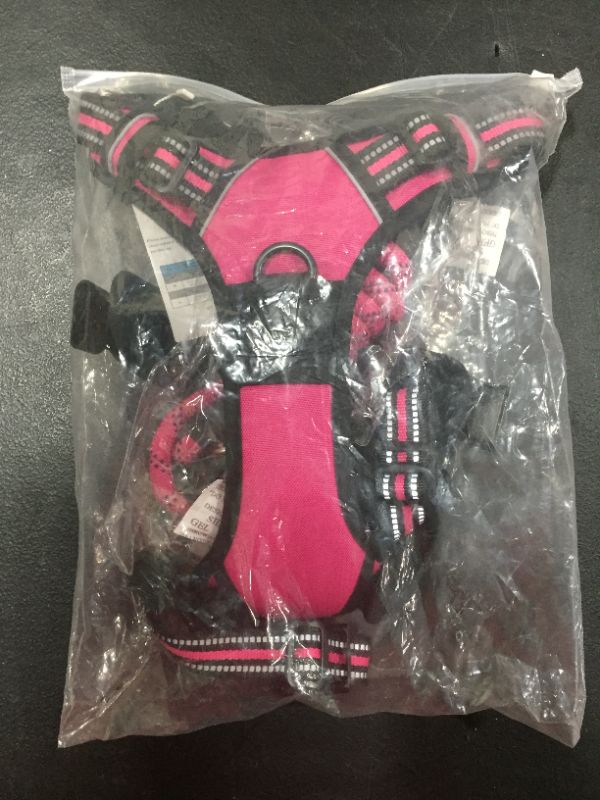 Photo 3 of [Large] WEZVIX Dog Harness and Leash Set - Rose Red