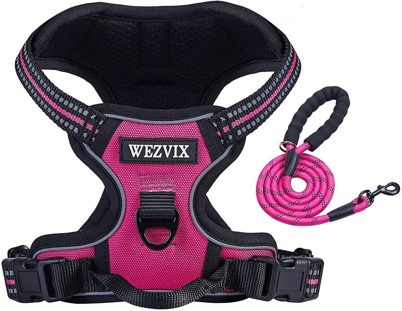 Photo 1 of [Large] WEZVIX Dog Harness and Leash Set - Rose Red