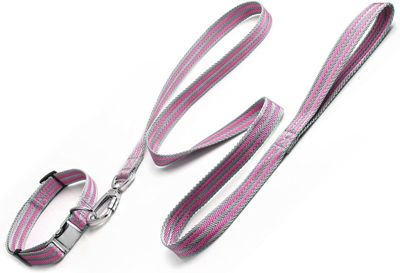 Photo 1 of [Size L[] PUPPS Dog Leash and Collar Set, 5 Ft Durable Pet Collar and Leash- Gray/Pink