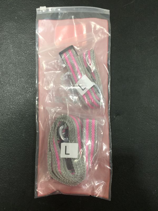 Photo 5 of [Size L[] PUPPS Dog Leash and Collar Set, 5 Ft Durable Pet Collar and Leash- Gray/Pink