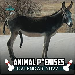 Photo 1 of Animal Penises 2022 calendar funny gag gift!